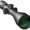 Puškohľad DELTA Optical Titanium 2.5-10x56 HD SF