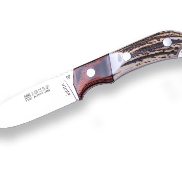 Odolný kempingový nôž JOKER KNIFE AGUILA BLADE 10,5cm, STAG HORN HANDLE, RED WOOD BOLSTER - CC105